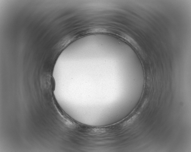X0000054330849200508111917.png