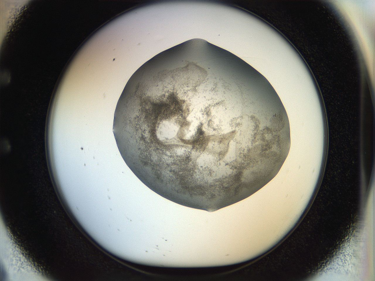 056k_E9_ImagerDefaults_3.jpg