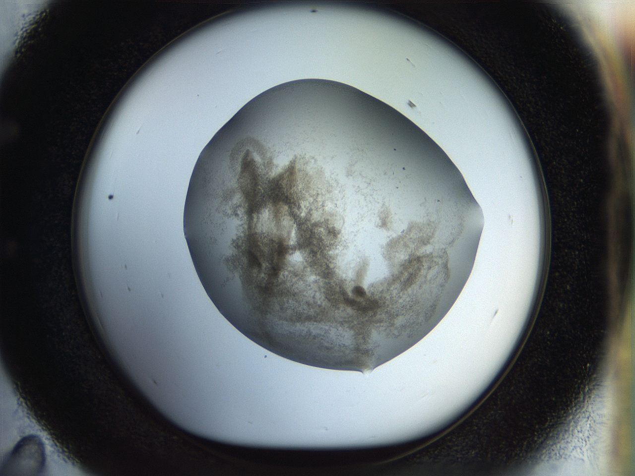 056k_E11_ImagerDefaults_3.jpg