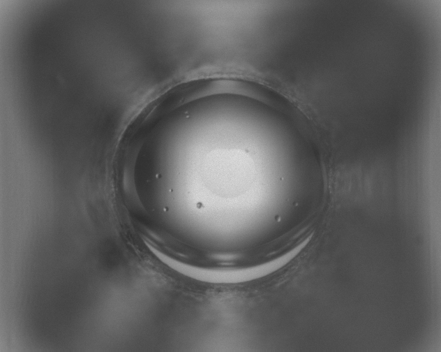 X0000054930340200508291637.png