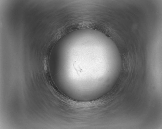 X0000055060038200508161657.png