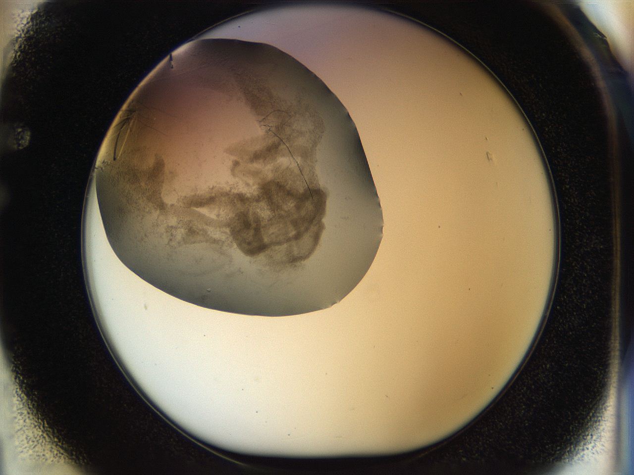 056k_F1_ImagerDefaults_3.jpg