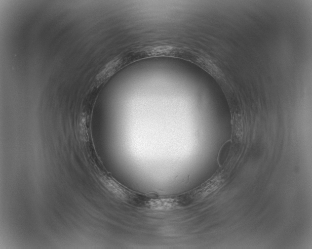 X0000055060378200508161652.png