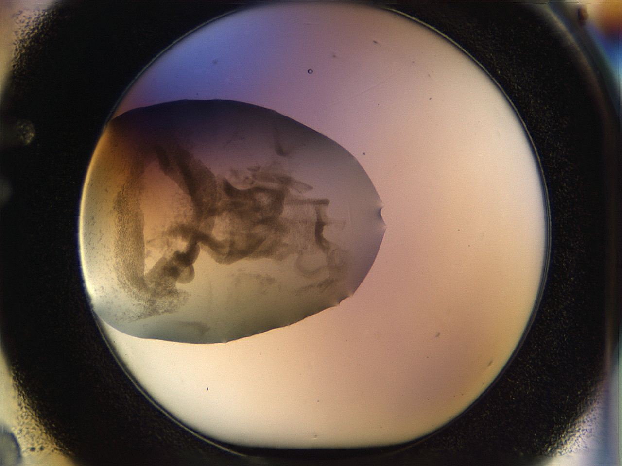 056k_F2_ImagerDefaults_3.jpg