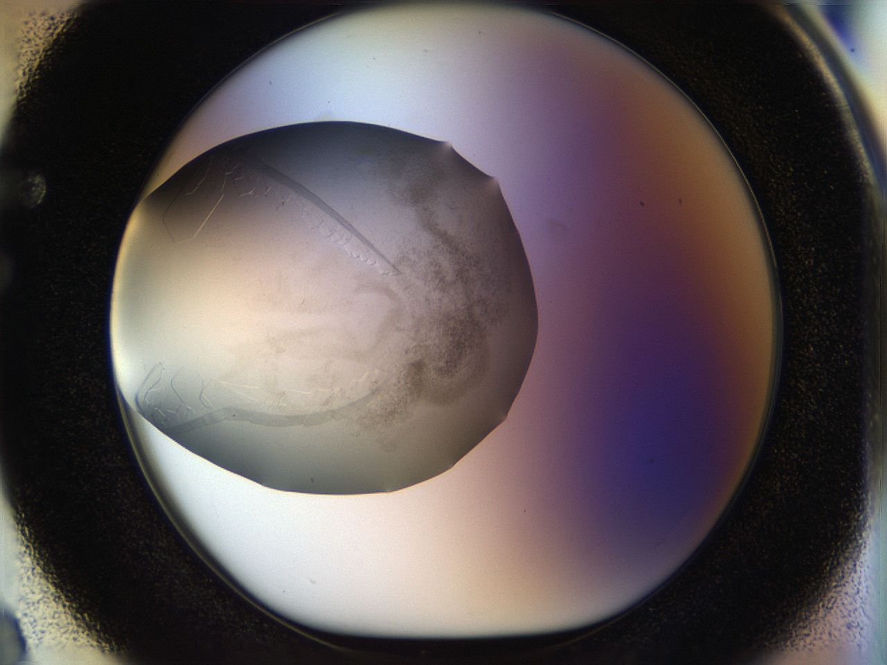 056k_F3_ImagerDefaults_8.jpg