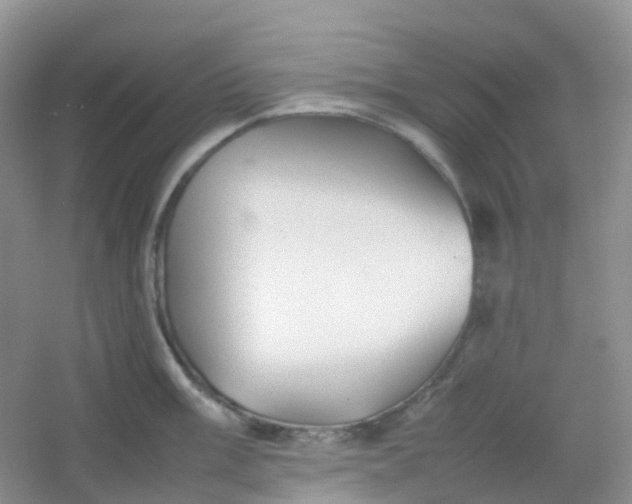 X0000054331003200508111914.png
