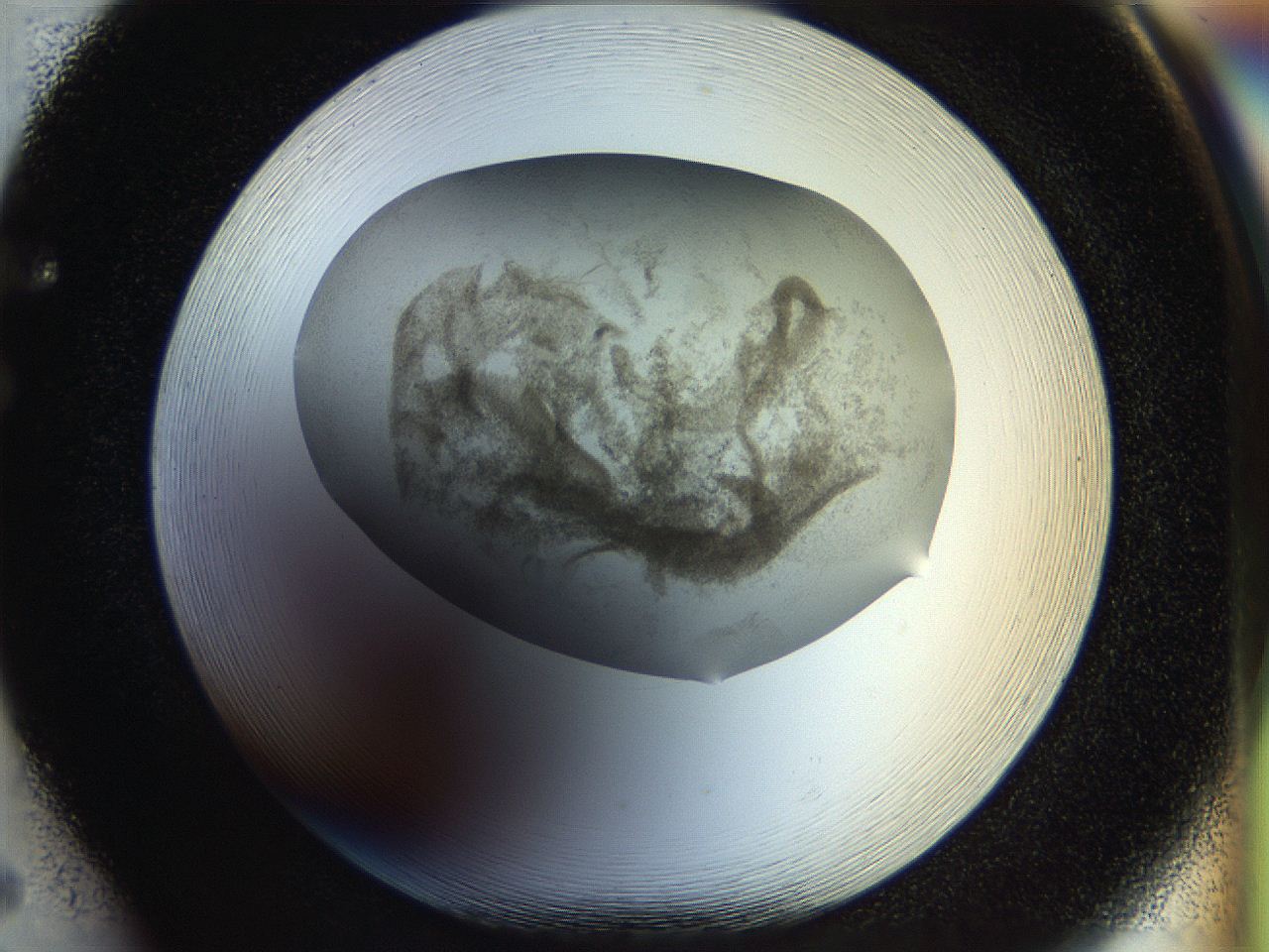 056k_F5_ImagerDefaults_3.jpg