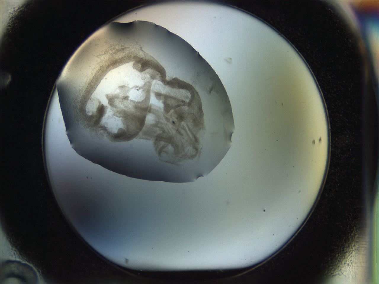 056k_F10_ImagerDefaults_3.jpg