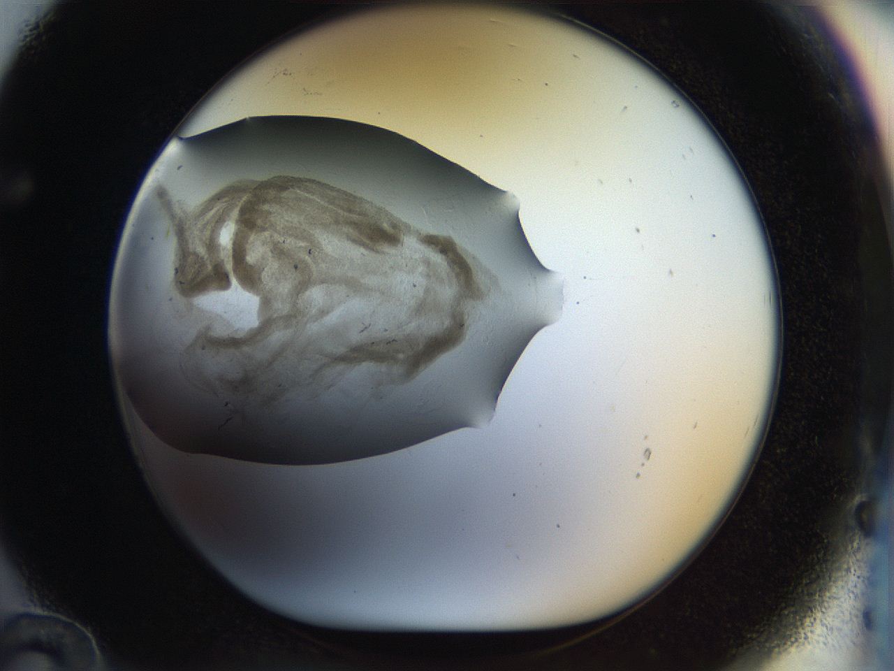 056k_F12_ImagerDefaults_3.jpg