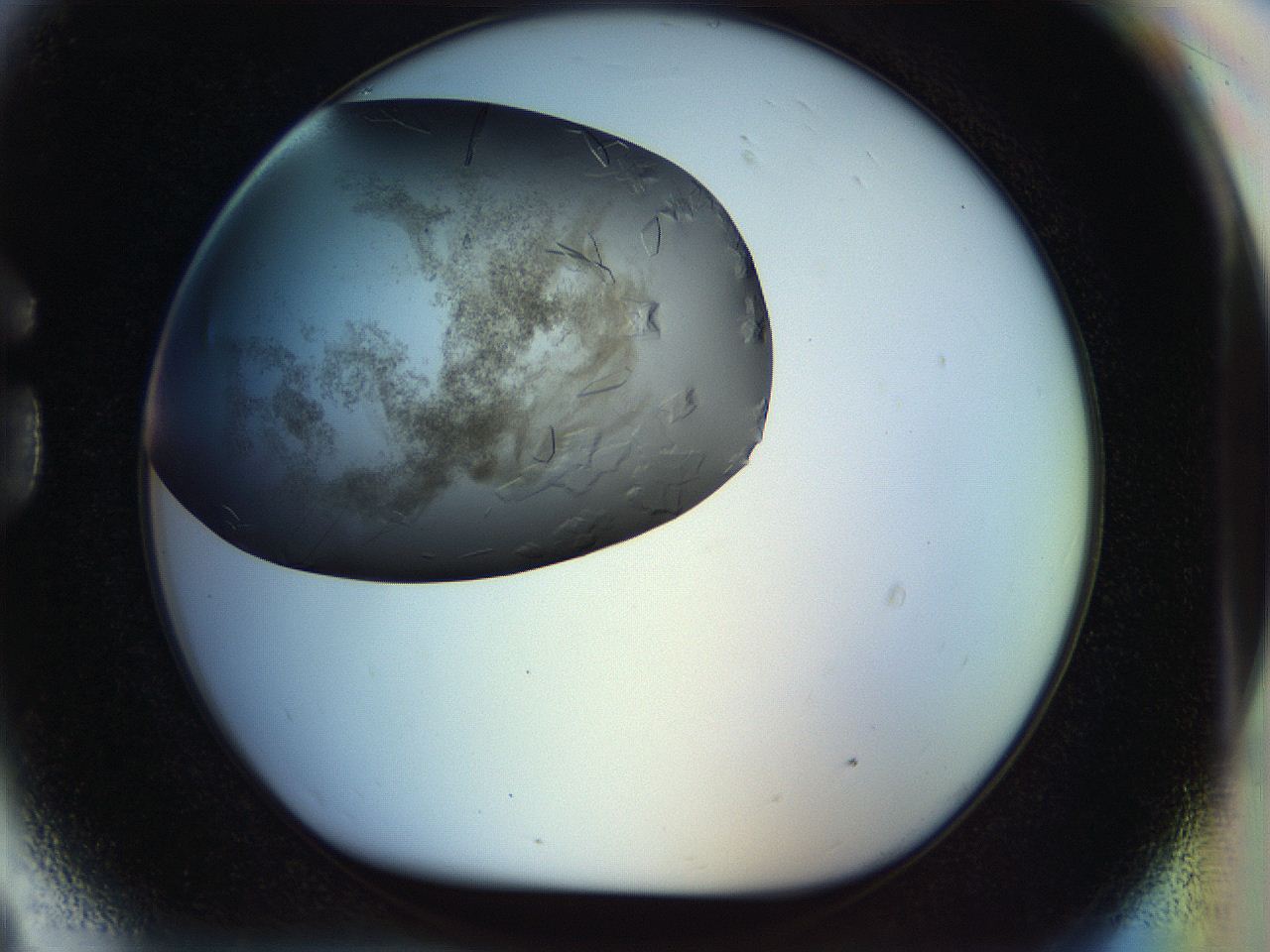 056k_G9_ImagerDefaults_8.jpg