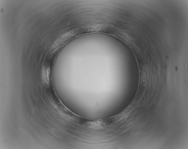 X0000054650118200508091651.png