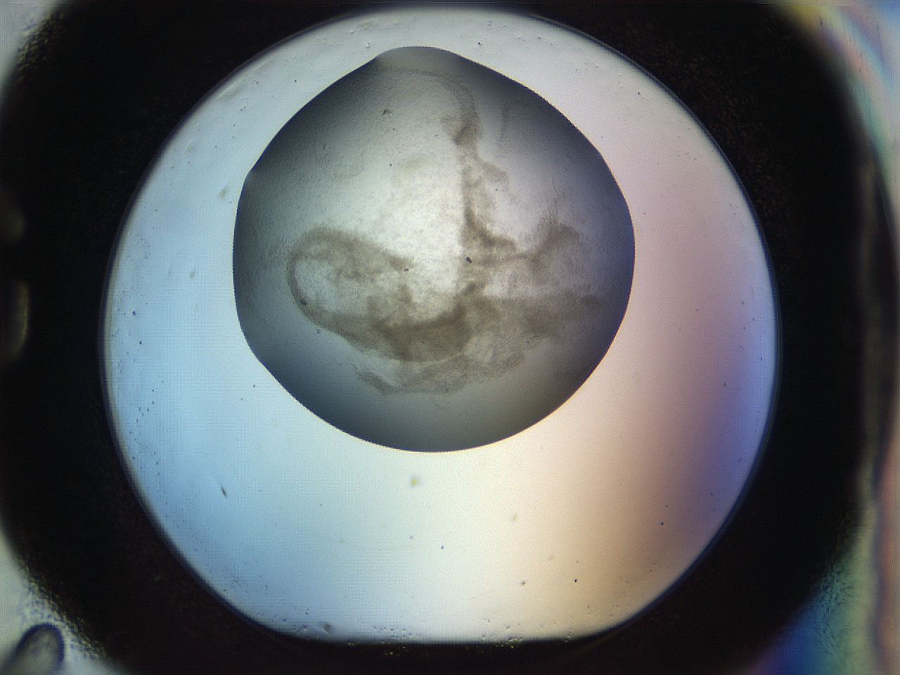 056k_G11_ImagerDefaults_3.jpg
