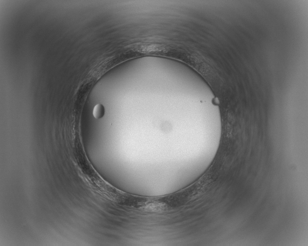 X0000055210210200508301330.png