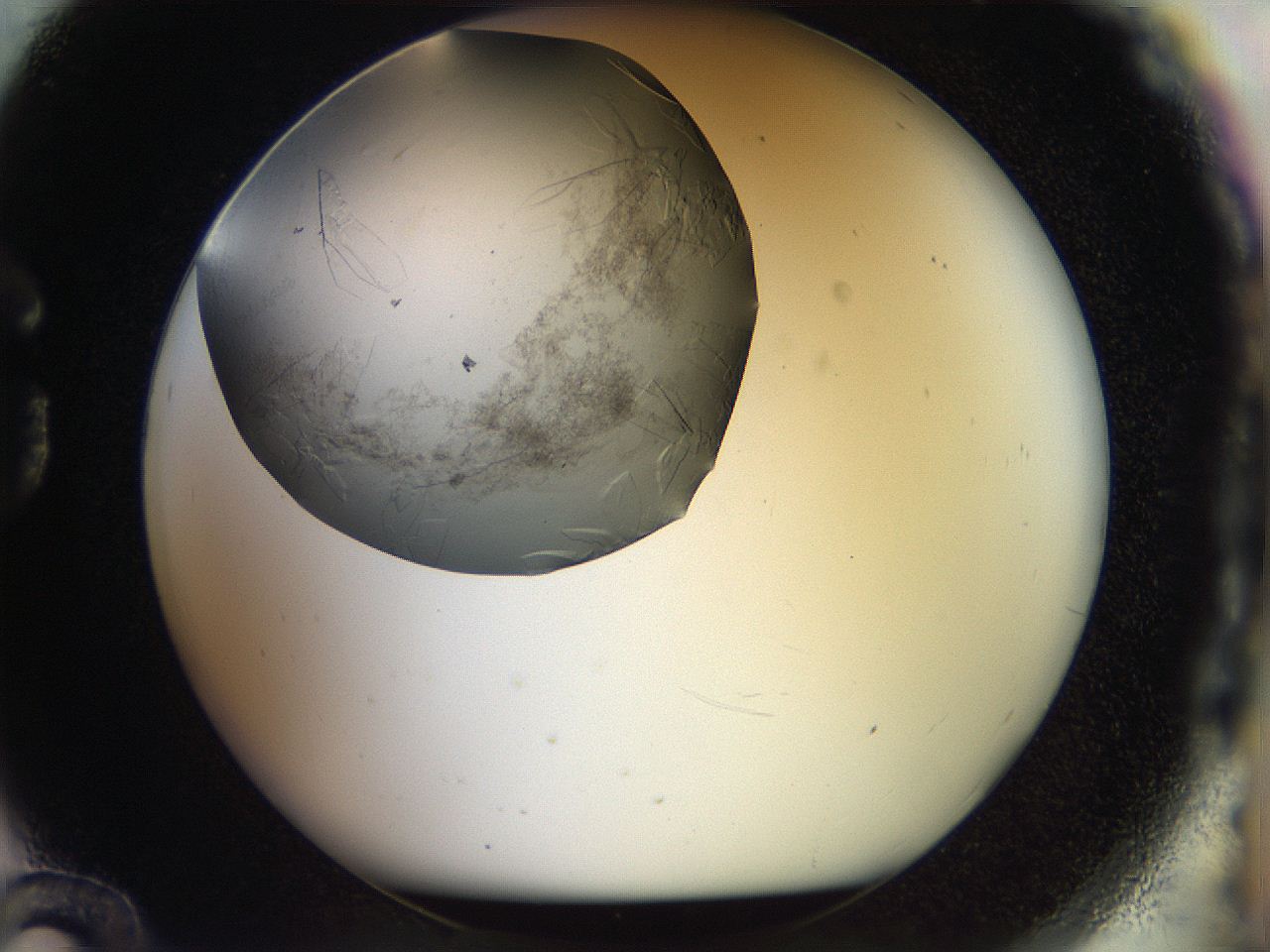 056k_G12_ImagerDefaults_8.jpg