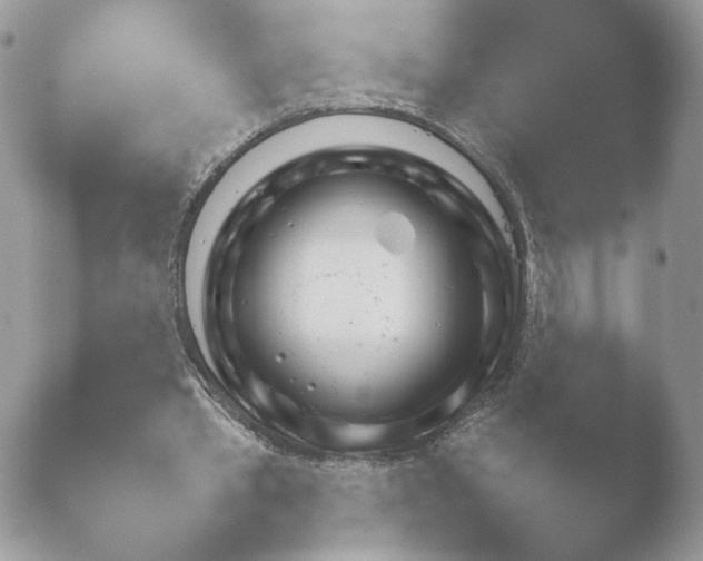 X0000052120389200507262057.png