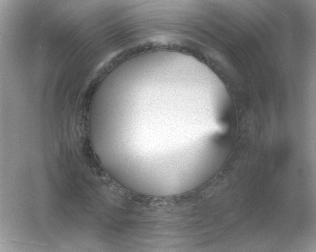 X0000054330776200508111918.png