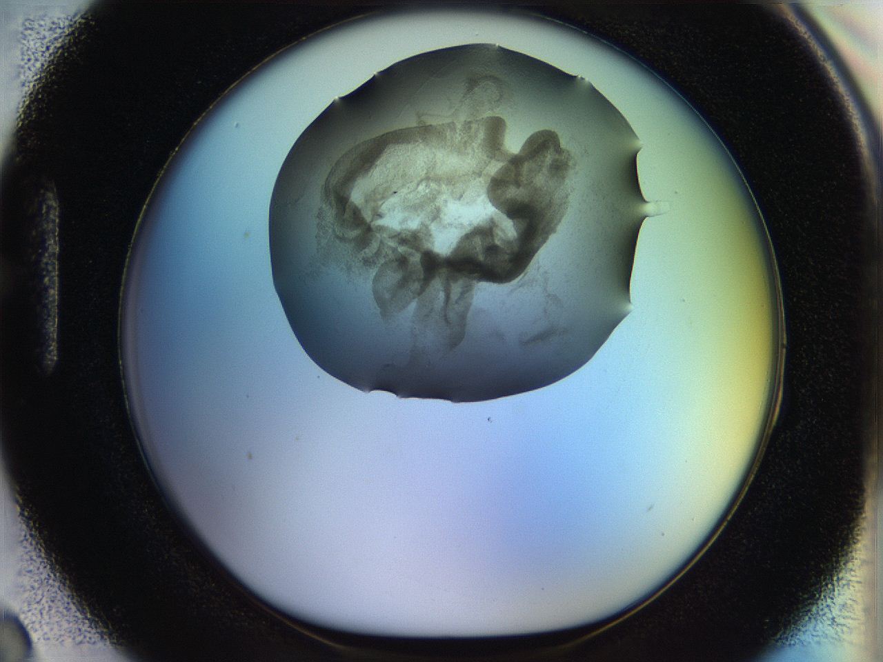056k_H3_ImagerDefaults_3.jpg
