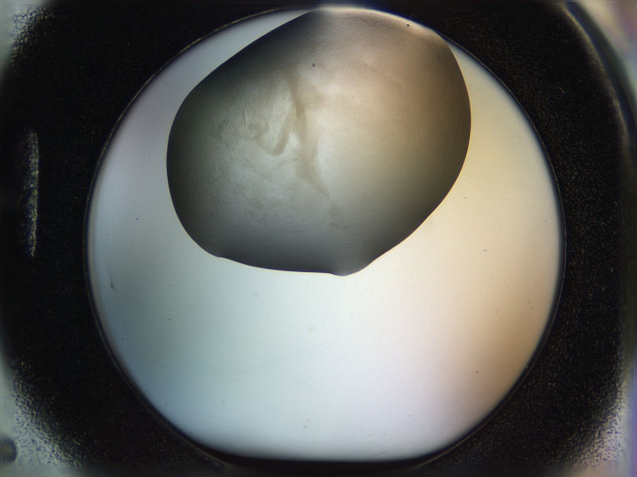 056k_H5_ImagerDefaults_3.jpg