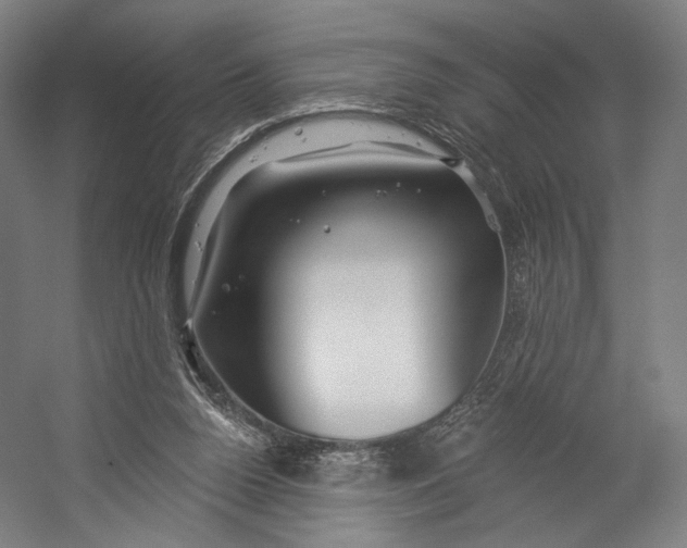 X0000055210160200508301331.png