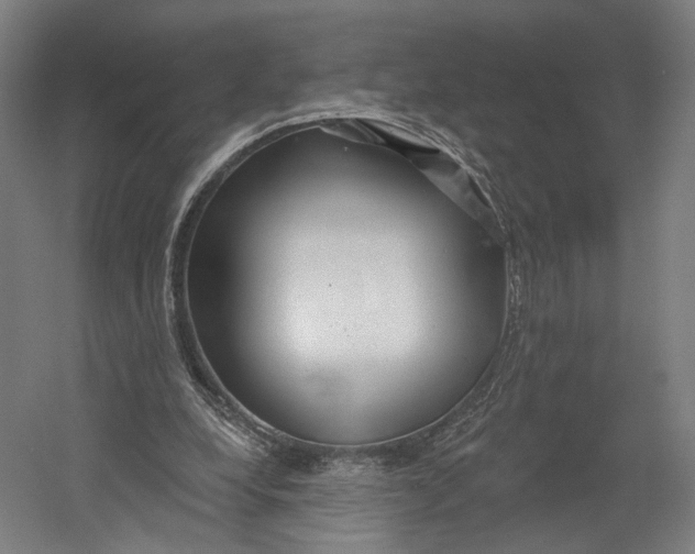 X0000055210248200508301329.png