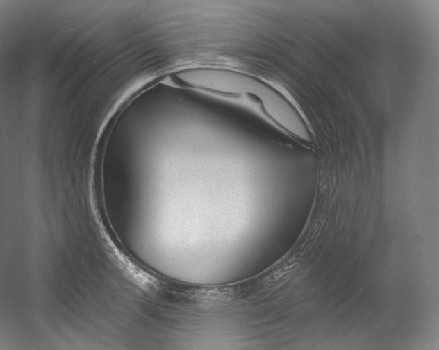 X0000055211139200508301315.png