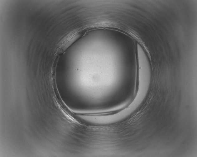 X0000055250389200509071621.png