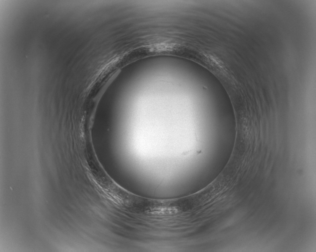 X0000055060543200508161648.png
