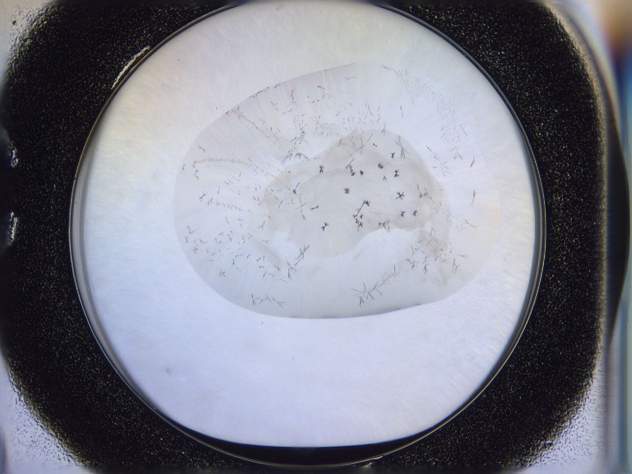 056l_C4_ImagerDefaults_6.jpg