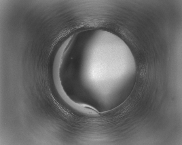 X0000055250685200509071616.png