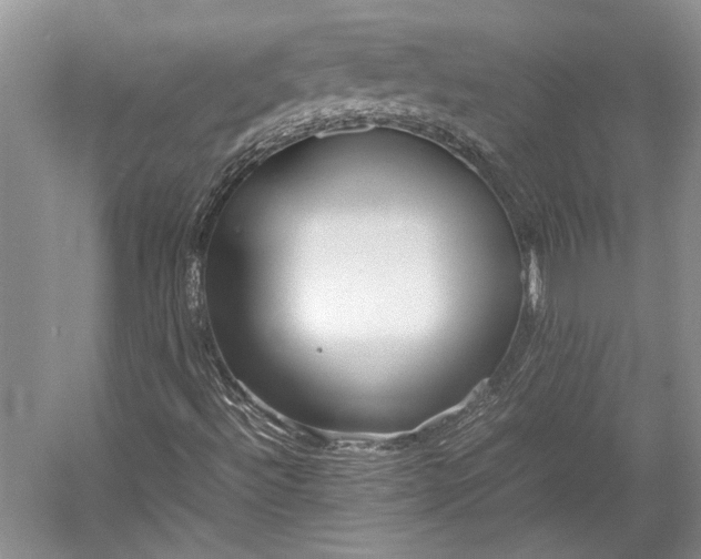 X0000055061492200508161632.png