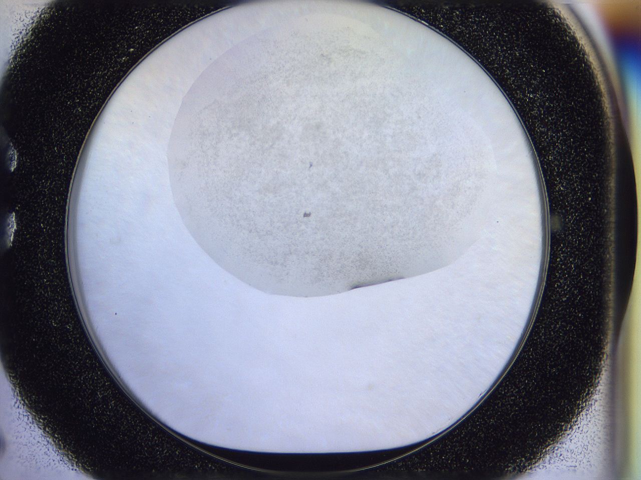 056l_C5_ImagerDefaults_2.jpg