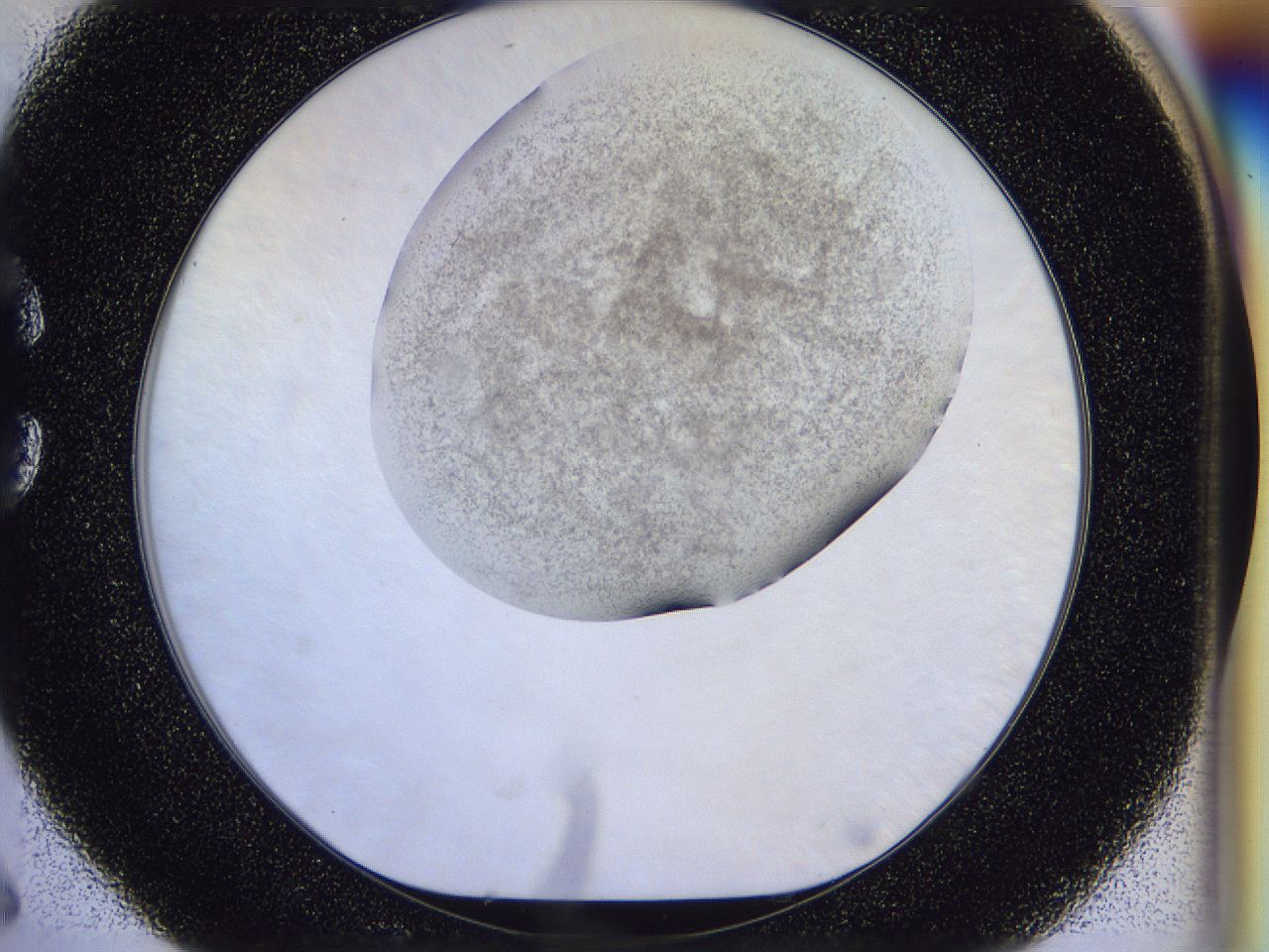 056l_C6_ImagerDefaults_3.jpg