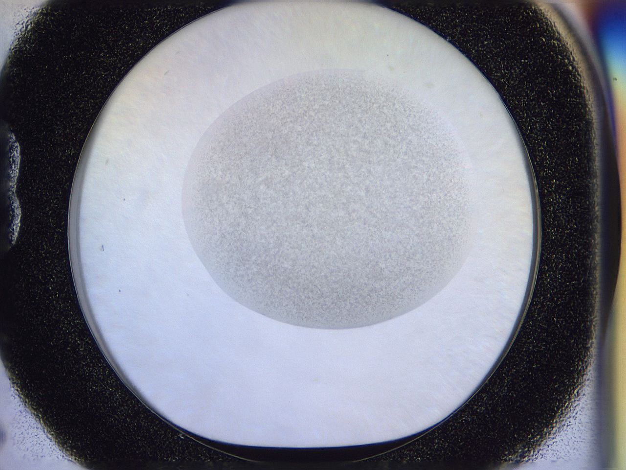 056l_B5_ImagerDefaults_3.jpg