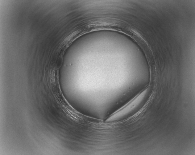 X0000055250777200509071614.png