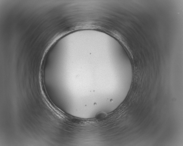 X0000055211187200508301314.png