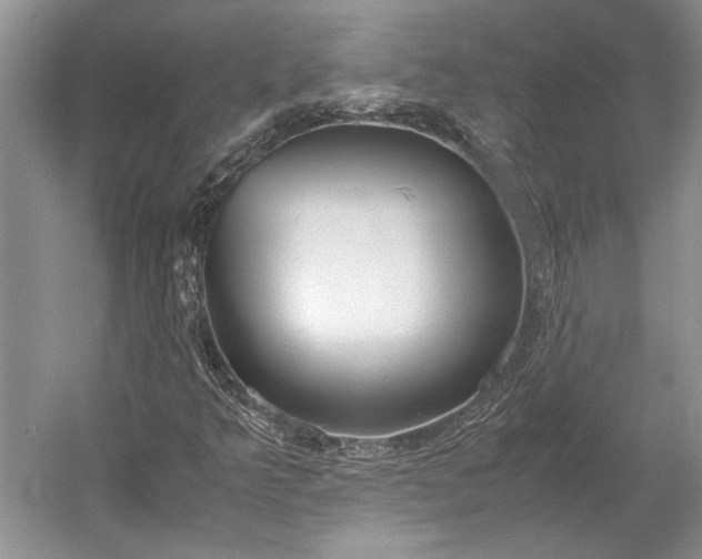 X0000055061349200508161635.png