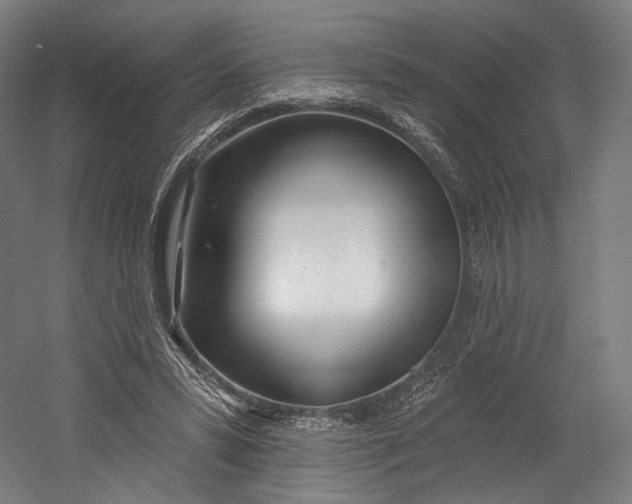 X0000055210399200508301327.png