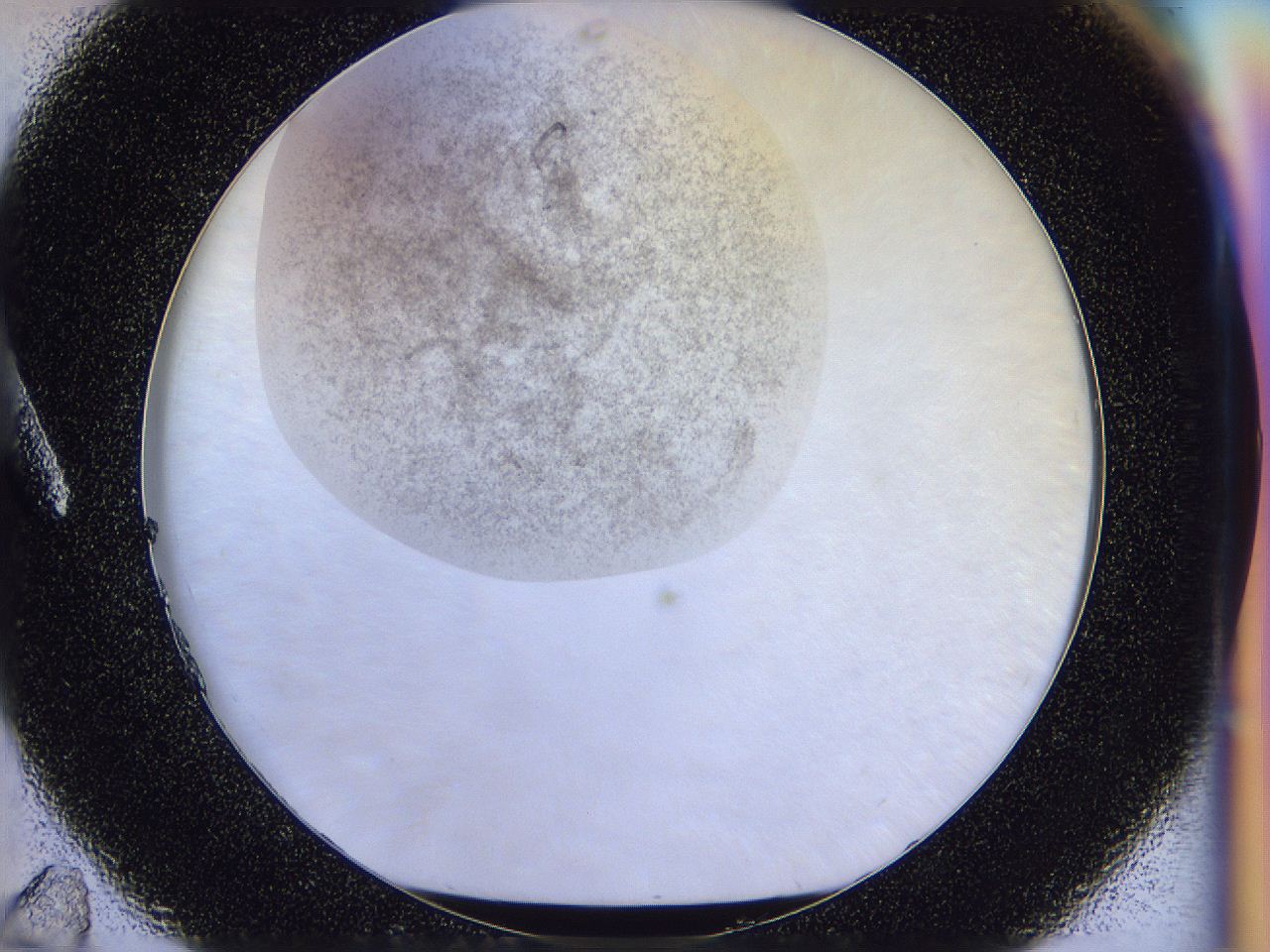056l_A11_ImagerDefaults_6.jpg
