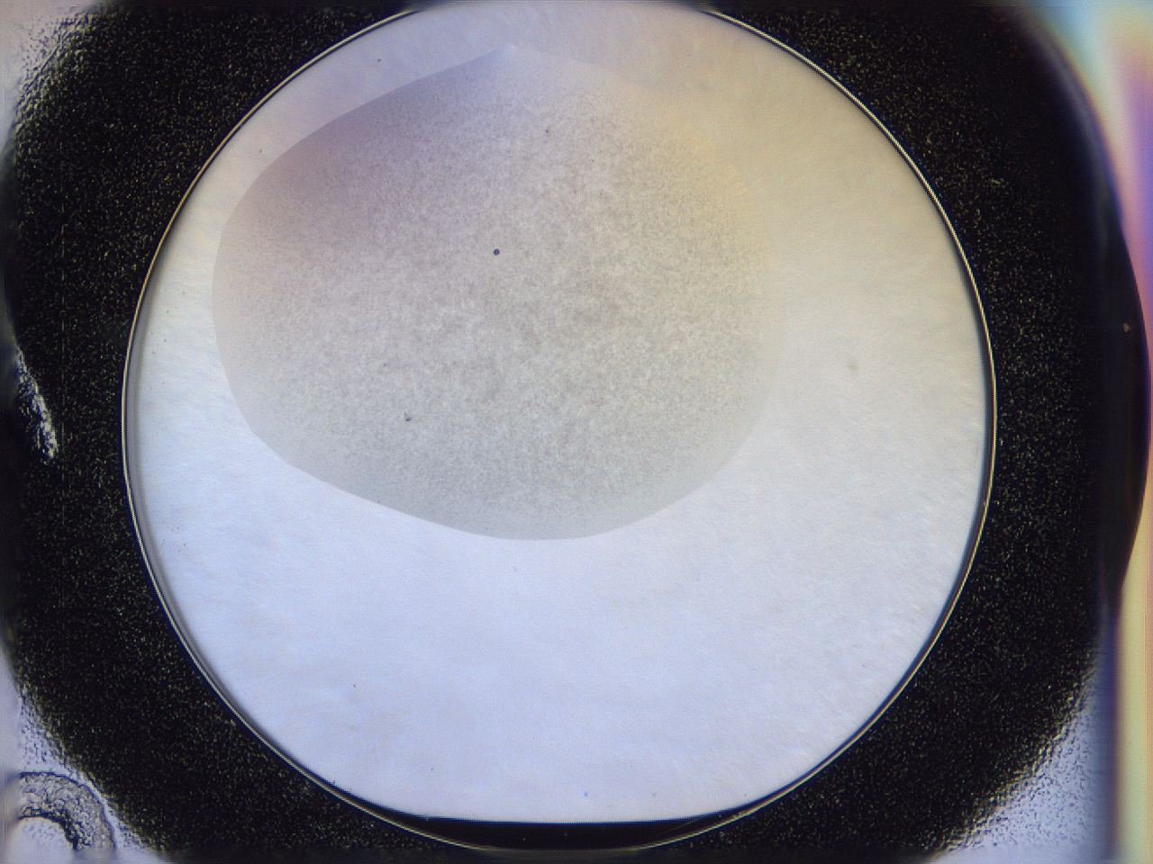 056l_A10_ImagerDefaults_3.jpg