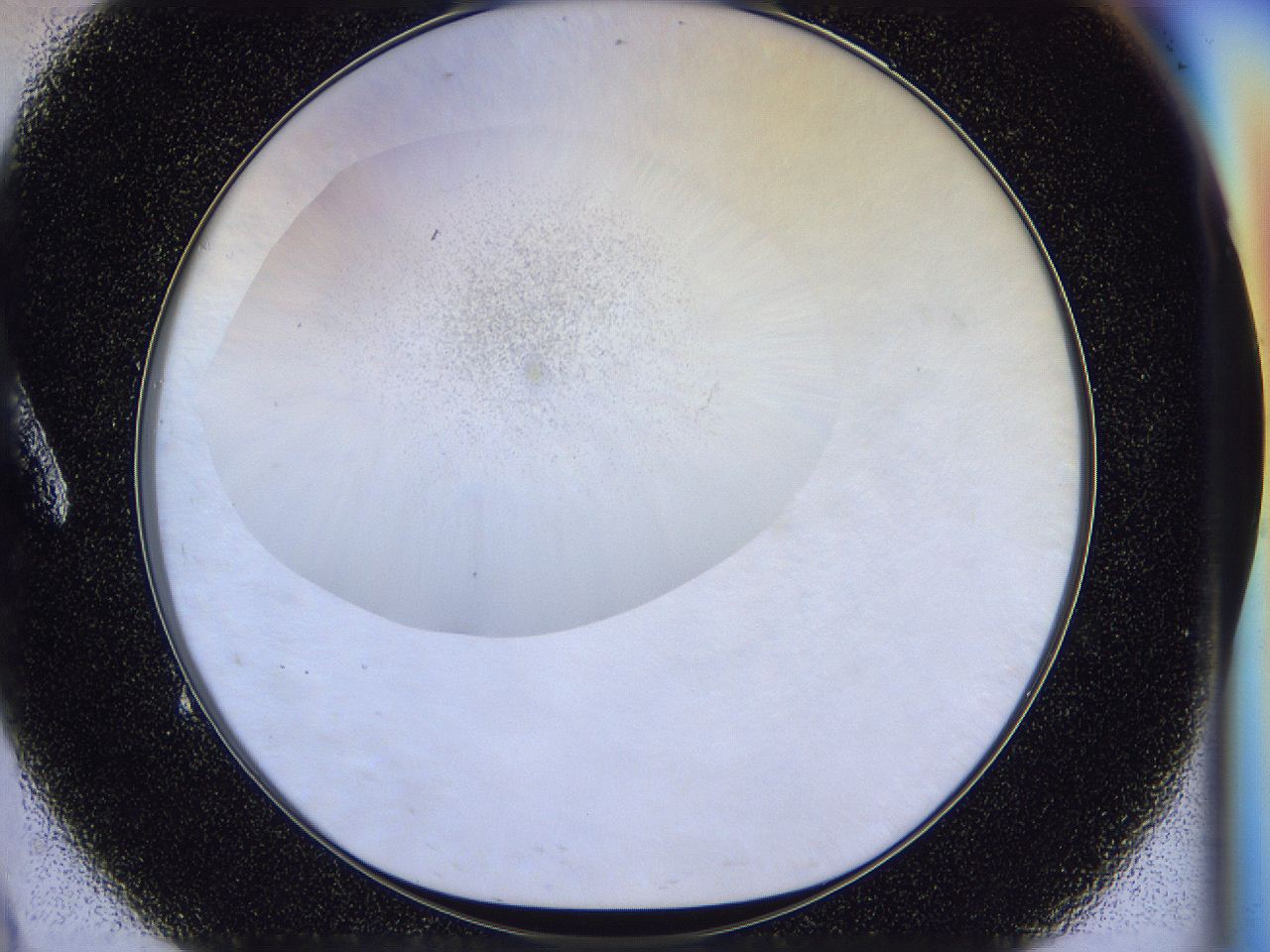 056l_A9_ImagerDefaults_2.jpg