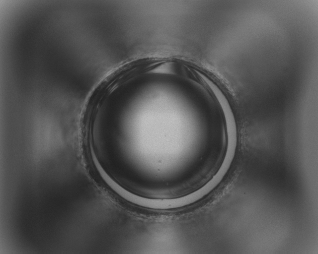 X0000047501122200503161506.png