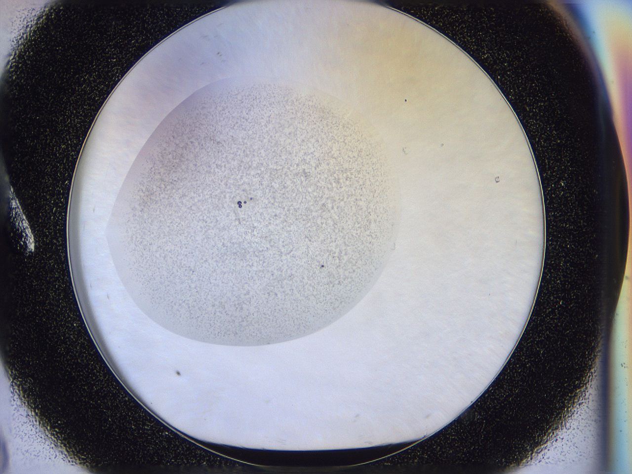 056l_A8_ImagerDefaults_2.jpg