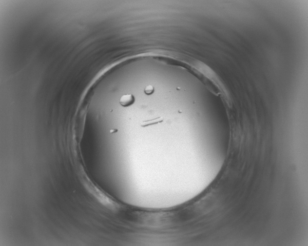 X0000054331292200508111909.png