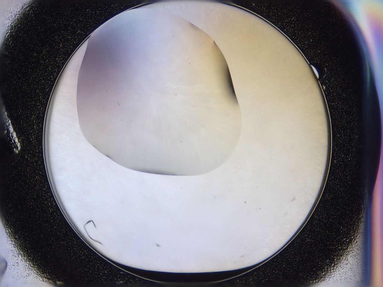 056l_A7_ImagerDefaults_0.jpg