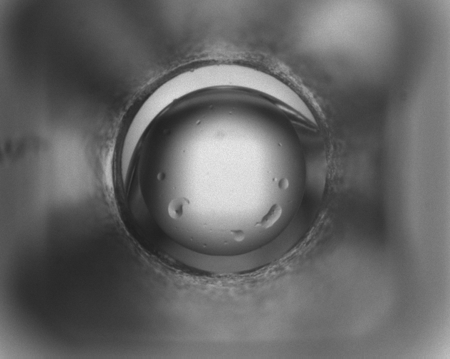 X0000045450011200502011708.png