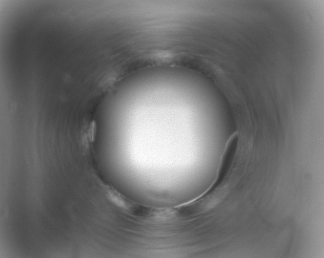 X0000054330576200508111922.png