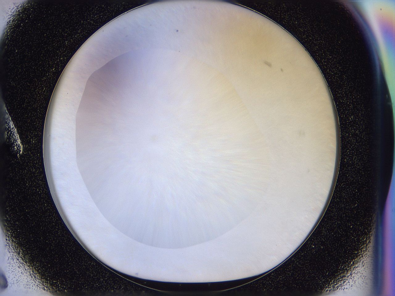 056l_A6_ImagerDefaults_0.jpg