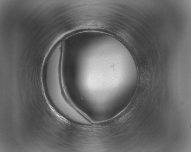 X0000055210942200508301318.png