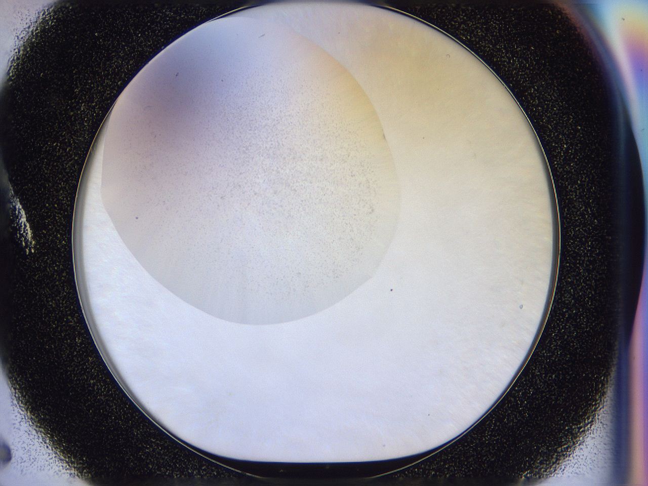 056l_A5_ImagerDefaults_2.jpg