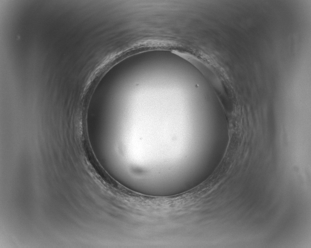 X0000055060015200508161657.png